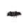 Lights BMW 5 E39 Front CCFL Black
