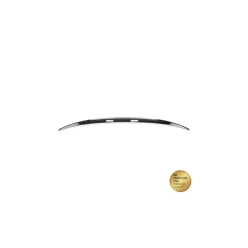 Spoiler BMW X6 E71 E72 Lip Carbon Look
