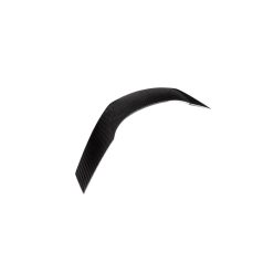 Spoiler BMW Z4 G29 Lip Carbon