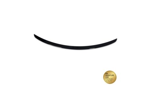 Spoiler Mercedes-Benz CLS C219 Lip Gloss Black