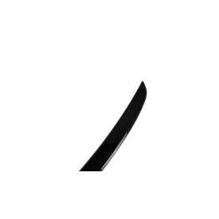 Spoiler Mercedes-Benz CLS C219 Lip Carbon Look
