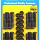 SB Ford 302 Sportman SVO 3/8" rod bolt kit