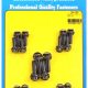 SB Ford 12pt oil pan bolt kit