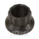 "1/2""-20 12pt nut kit" (1pcs)