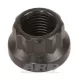 "1/2""-20 12pt nut kit" (1pcs)