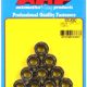 "3/8""-24. 1/2"" socket. .645 flange OD. 12pt nut kit" (10pc