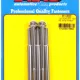 "1/4""-20 x 3.500 12pt SS bolts" (5pcs)