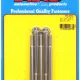 M6 x 1.00 x 80 12pt SS bolts (5pcs)