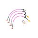 Audi RS6 (C6 Chassis) 5.0 TFSI Quattro Brake Lines-Colour Black Colour Purple Colour Orange Colour Clear Colour Green Colour Blue - Transparent Colour Red - Transparent Colour Blue - Solid Colour Red - Solid