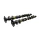 Brian Crower Camshafts - All New Profile Design - Stage 2 Boost (Honda H22) BC0031-2