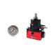 TurboWorks Fuel pressure regulator Race