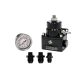 TurboWorks Fuel pressure regulator with AN8 clock