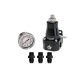 TurboWorks Fuel pressure regulator with AN6 clock