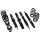 Suspension Street D2 Racing AUDI A5 COUPE (4WD) 07+