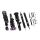 Suspension Street D2 Racing BMW E81 4 CYL 07-12