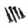 Suspension Street D2 Racing NISSAN SKYLINE R33 GTST (2WD) 95-98