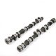 Piper Camshaft Ford 2.0/2.5L 16v Duratec VVT Ultimate Road