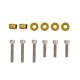 VTec Solenoid Washers Honda Gold