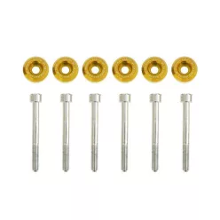 Lower Rear Control Arms Washers Civic Gold