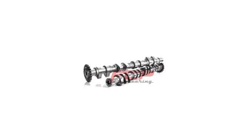 Camshafts VAG 1.8T 20V FCP