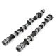 Piper Camshaft Ford 2.0L EcoBoost Rally