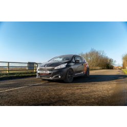   ECU Performance Software Peugeot 208 GTI/Citroen DS3 performance