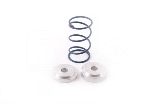 FMDVRAYV2 Individual Springs-FMDVRAYV2 Spring Blue Spring and 2 shims (FMRV2SB) FMDVRAYV2 Spring Red Spring (FMRV2SR)