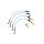 Ford Focus ST225 Mk2 Brake Lines-Colour Black Colour Purple Colour Orange Colour Clear