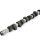 Piper Camshaft VAG 1.3L 8v G40/1.4L 8v Fast Road
