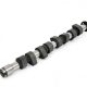 Piper Camshaft VAG 1.3L 8v G40/1.4L 8v Fast Road