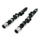 Piper Camshaft Peugeot/Citroen 2.0L 16v EW10J4 Race