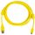 Haltech USB A to USB C Cable - 2.0M - Suits Nexus