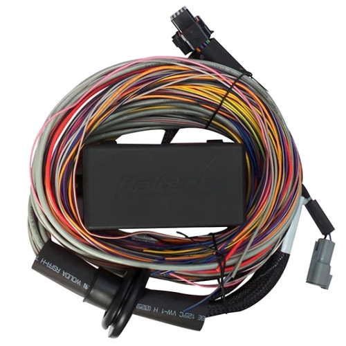 Haltech Elite 550 Premium Universal Wire-in Harness 2.5m (8'