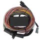 Haltech Elite 550 Premium Universal Wire-in Harness 2.5m (8'
