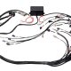 Haltech Elite 2000/2500 GM GEN III LS1 non DBW Term Harn Onl