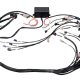 Haltech Elite 2000/2500 GM GEN IV LS2 non DBW Term Harn Only