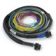 Haltech Nexus S3/S2 Universal Wire-In Harness 2.5M  (8')