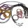 Haltech Nexus R5 Basic Universal Wire-In harness - 2.5M (8')