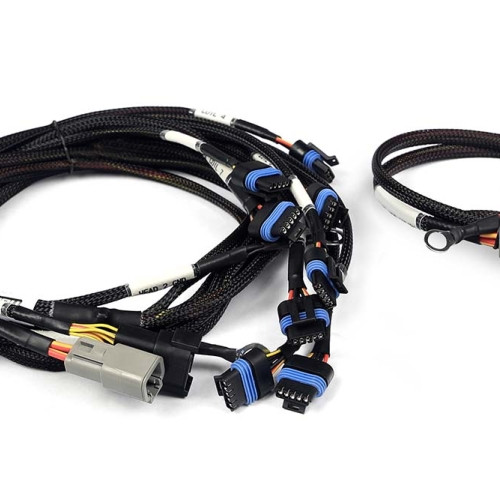 Haltech Nexus V8 IGN-1A Ford Harness
