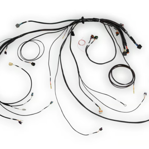 Haltech Nexus Rebel LS Terminated Harness for Rebel LS ECU