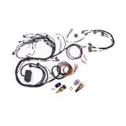   Elite 2000/2500 Terminated wiring kit for Nissan RB Twin Cam engine with CAS wire and series 2 (late) ignition type sub-wire.