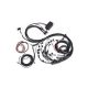 Elite 2500 engine wirening for Ford Falcon BA/BF Barra 4.0L I6 - Injector connector: Bosch factory EV1