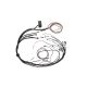 Elite 1500 Mazda 13B S6-8 CAS with Flying Lead ignition cable terminated at connector