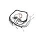 Elite 2000/2500 Toyota 2JZ engine wiring kit terminated with connectors