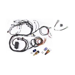   Terminated cable for Elite 2000/2500 system for Nissan RB Twin Cam engine with CAS (Crank Angle Sensor) wire