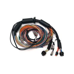 Haltech Nexus R3 universal cable set 2.5 m