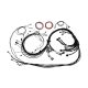 V8 engine universal cable terminated with connector for Nexus R5 VCU controller