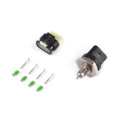 Pressure and Temperature Bosch 4000 PSI