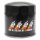 K&N Oil Filter PS-2004