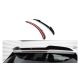Spoiler Cap Mercedes-Benz C 43 AMG S206